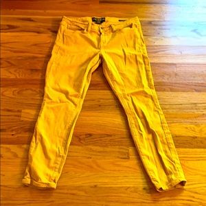 Lucky Brand Fashion Yellow Charlie Skinny Jeans